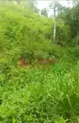4 acres of land for sale - Northern Clarendon