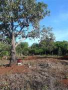 5 Acres Commercial Farm Land