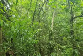 30 Acres of Land