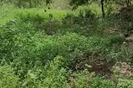 1.65 Acre of property