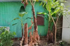House and Land