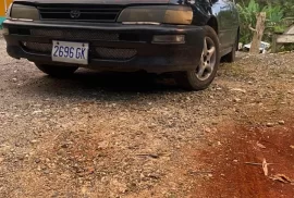 Police shape 1994