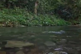 Linstead residential lot with river