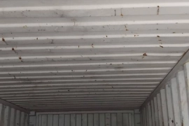 clean 20 ft container